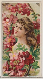 Azalea: Attraction, da série Floral Beauties and Language of Flowers N75 para Duke..., 1892. de Donaldson Brothers