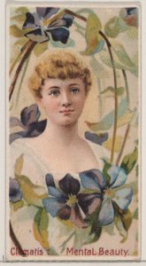 Clematis: Beleza Mental, da série Belezas Florais e Linguagem das Flores N75 para..., 1892. de Donaldson Brothers