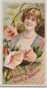 Morning Glories: Bonds of Affection, da série Floral Beauties and Language of Flowe..., 1892. de Donaldson Brothers
