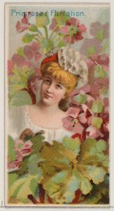 Primrose: Flirtation, da série Floral Beauties and Language of Flowers N75 for Du..., 1892. de Donaldson Brothers
