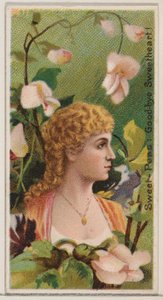 Ervilhas-de-cheiro: Adeus querida!, da série Belezas Florais e Linguagem das Flores..., 1892.