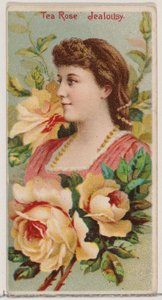 Tea Rose: Jealousy, da série Floral Beauties and Language of Flowers N75 para Duke..., 1892. de Donaldson Brothers