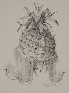 Abacaxi de Donatella Merlo