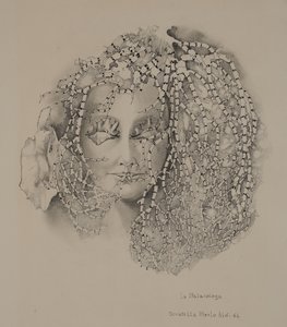 A Malacologia de Donatella Merlo