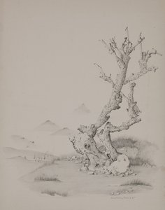O tronco de Donatella Merlo