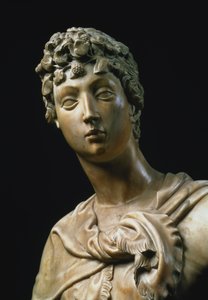 David, detalhe da cabeça, 1408 detalhe em mármore de 79334