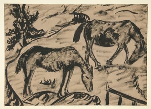 Cavalos