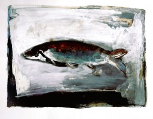 Peixes de águas escuras de Doris Schmitz
