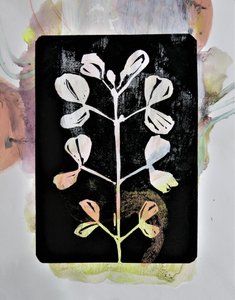 Estudo botânico em pastel de Doris Schmitz