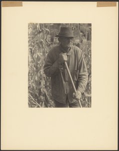 [Homem com enxada em plantação de sorgo]. de Doris Ulmann