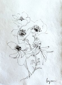 Esboço floral delicado de Dorothy Fagan