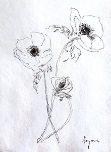 Esboço de uma flor delicada de Dorothy Fagan