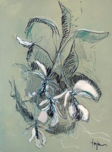 Esboço de uma orquídea elegante