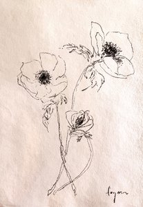 Desenho minimalista de uma flor de Dorothy Fagan