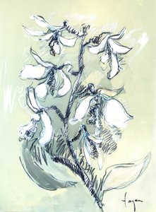 Esboço floral branco de Dorothy Fagan