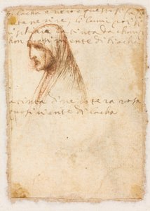 Perfil de busto de uma mulher idosa verso, c. 1521 de Dosso Dossi