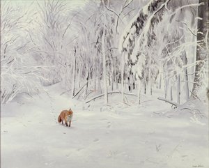 Raposa na neve profunda