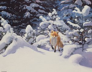 Raposa na neve profunda com abetos