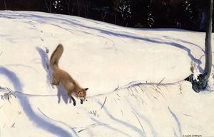 Raposa a saltar de um banco de neve