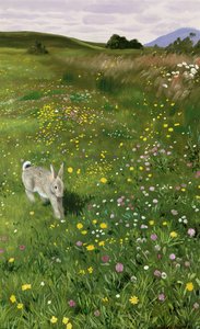Lebre em flores da primavera