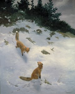 Amor à Primeira Vista, Raposas na Neve