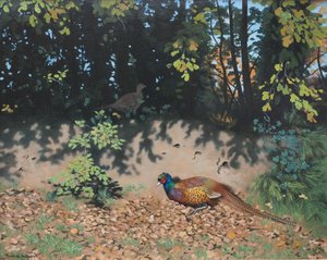 Faisão empoeirado ao sol de outono, 2000 (óleo sobre tábua)
