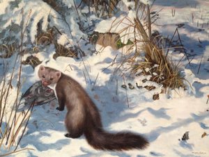 Marta de pedra na neve (óleo sobre tela) de Douglas Anderson