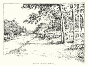 Através dos bosques em Esher (litografia)