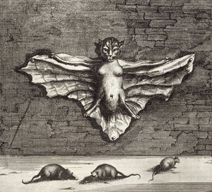 Um morcego conhecido como um gato voador, da China Ilustrado por Athanasius Kircher (1601-80) 1667 de Dutch School