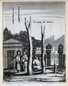 Cal e laranjeiras, de De Nederlandze Hespérides por Jan Commelin, publicado em 1676 de Dutch School