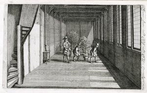 Mover árvores para o jardim para o verão, de De Nederlandze Hespérides por Jan Commelin, publicado em 1676 de Dutch School