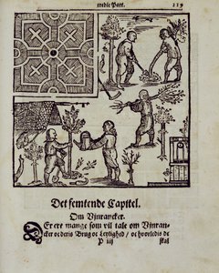 Plantar árvores, de The Dutch Gardener, de Johann van der Groen, publicado em 1699 de Dutch School