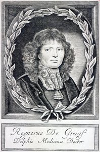 Regnier de Graaf, c.1670 de Dutch School