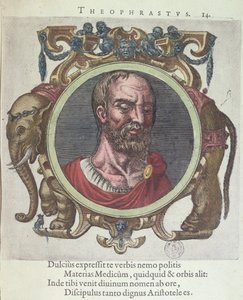 Theophrastus (BC c.372-287), de médicos antigos e novos e filósofos ícone por Johannes Sambucus (1531-84), publicado pela Plantin em Ley 1603 (gravura da cor) de Dutch School