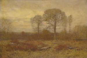 novembro de 1904-1905.