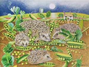 Ouriços com ervilhas ao lado de um campo de papoula à noite, 1994 (acrílico)