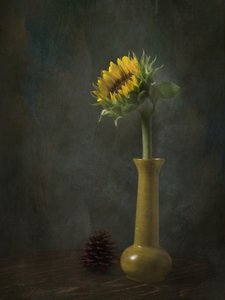  de EDUARDO LLERANDI