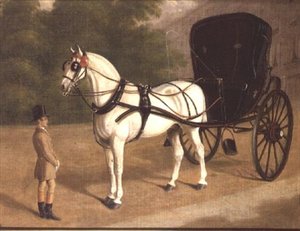 Um Cavalo Cinzento e Cabriolet com noivo de E.M. Fox