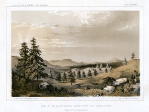 The Black Forest Mount Hope e Sierra Prieta, EUA, 1856. de E Stout