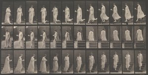 Locomoção Animal. Uma Investigação Eletro-Fotográfica... de Movimentos de Animais. Começo..., década de 1880. de Eadweard Muybridge