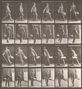 Floresta. de Eadweard Muybridge