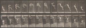 Locomoção Animal. Uma Investigação Eletrofotográfica de Fases Consecutivas de Animais..., década de 1880. de Eadweard Muybridge