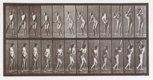 Floresta. de Eadweard Muybridge