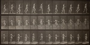 Locomoção Animal, Placa 174, 1887. de Eadweard Muybridge