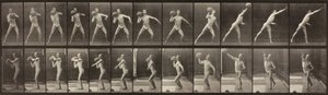Locomoção Animal, Placa 319, 1887. de Eadweard Muybridge