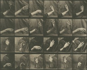 Floresta. de Eadweard Muybridge