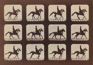 Atitudes of Animals in Motion, 1879, impresso em 1881. de Eadweard Muybridge