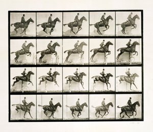 Homem e cavalo pulando uma cerca, 1887 de Eadweard Muybridge