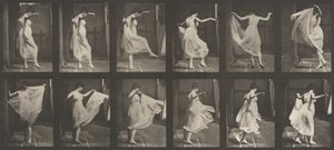 Floresta. de Eadweard Muybridge