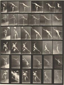 Placa número 523. A: Desferindo um golpe. B, E: Disco de arremesso. C, F: Levantando um 75-lb. Pedra..., 1887. de Eadweard Muybridge